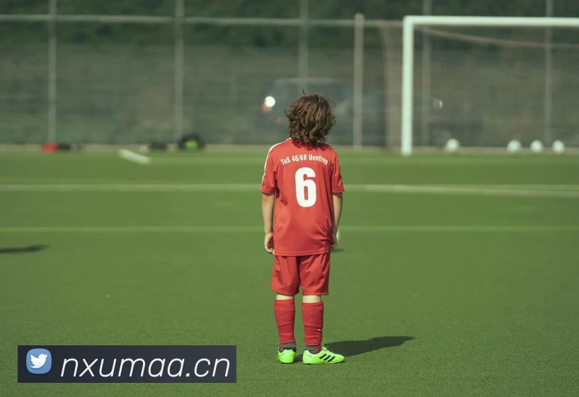 人人体育官网直播发展历程